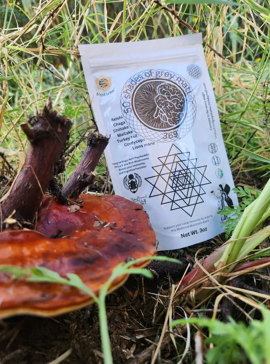 SACRED 7 MUSHROOM BLEND